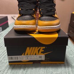 Air Jordan 1 Pollen 6Y