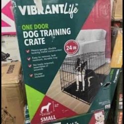 Dog Training Small