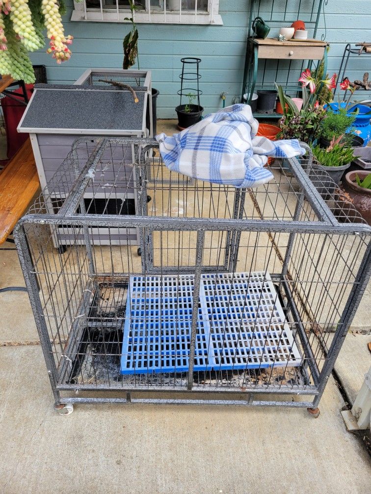 Kennel