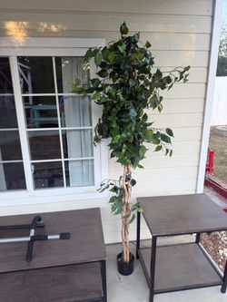 Tall artificial ficus/tree in good used condition. Great for a living room, office, entryway, staging, or anywhere you want greenery without having to