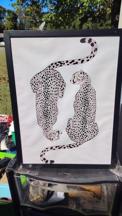 3 pictures