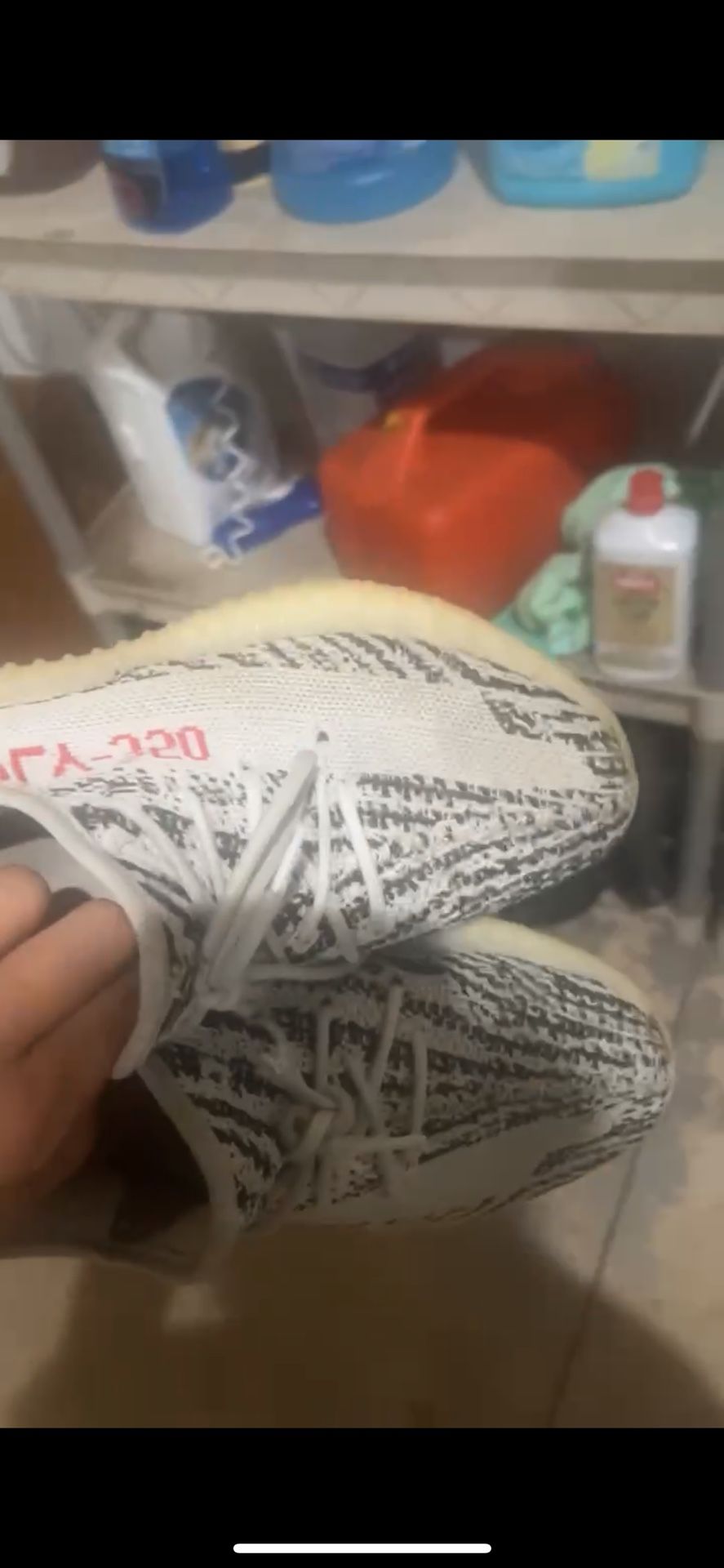 Adidas Yeezy 350 zebra