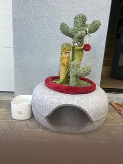 Cat tree w pool (;