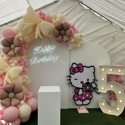 Hello Kitty Birthday Decor