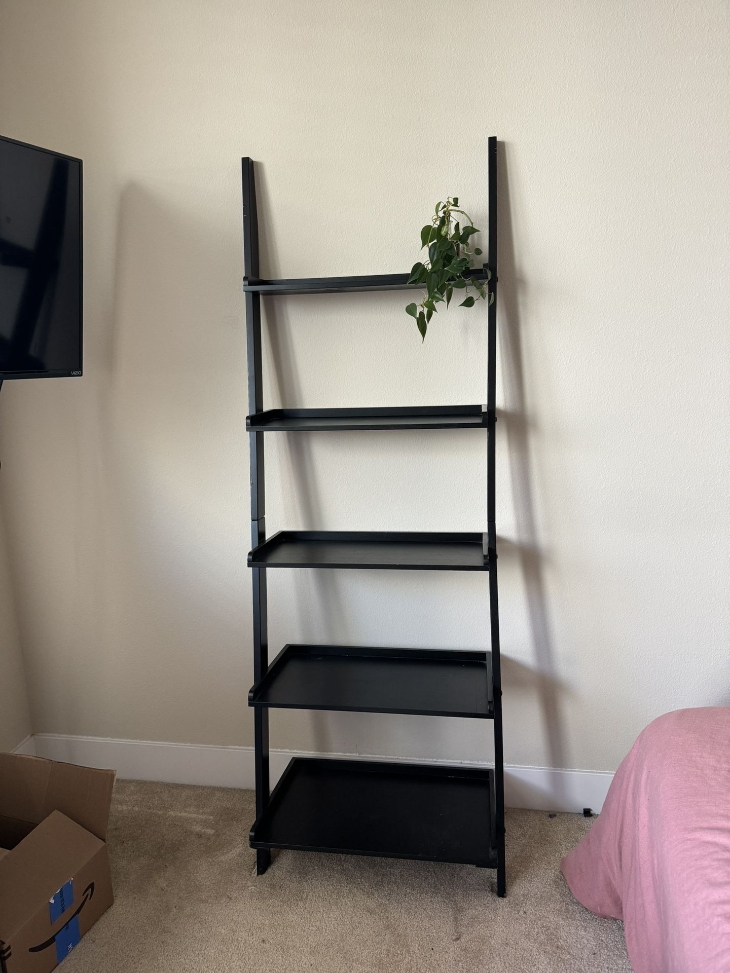 Black Ladder Shelf