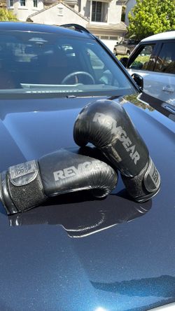 Revgear boxing gloves