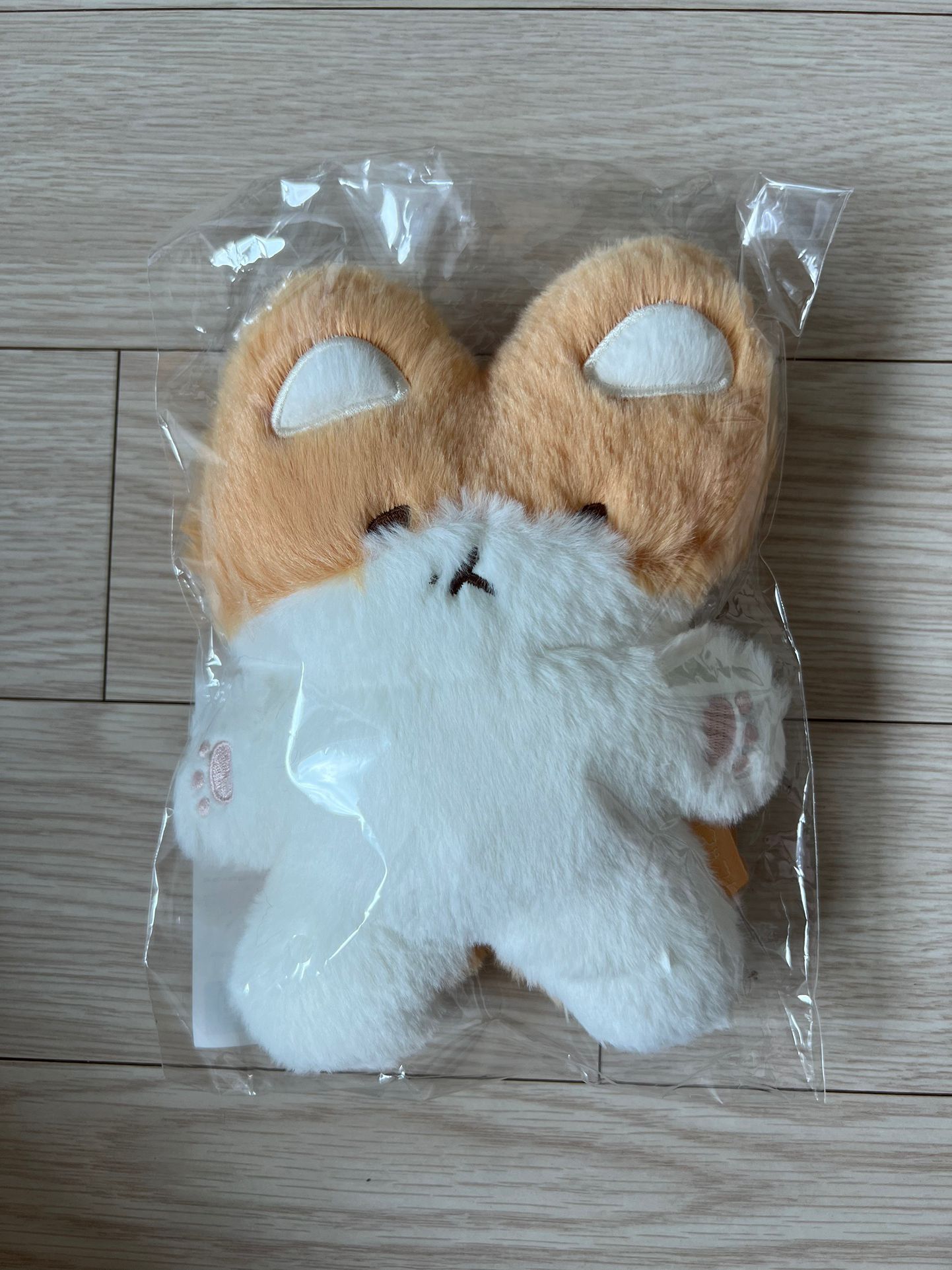 Kpop EXO Baekhyun Teolaegi Plush Flat Version