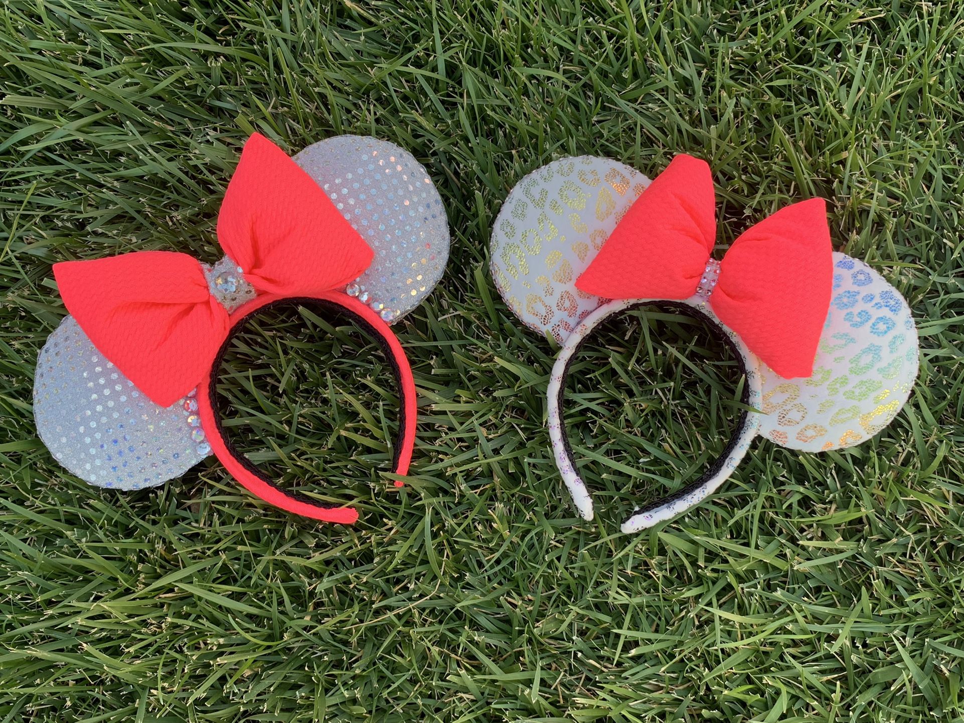 Inspired Mickey Ears