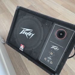 Peavey 112m Floor Monitor Speaker 