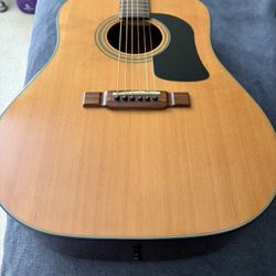 Washburn D 12 S