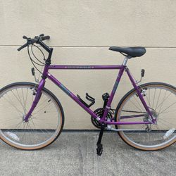 Fuji Nevada 26" 21-Speed City/Commuter/Road Hybrid - Near NEW! -Very Light 17" Frame - Tuned! (MSRP $400)
