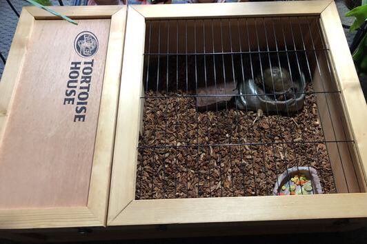 Zoo Med Tortoise House