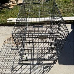 Dog  kennel