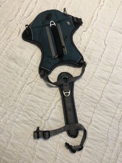 Dog Harness