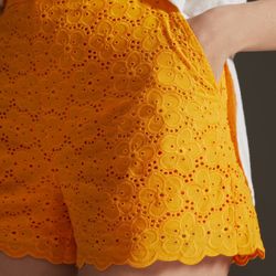 Anthropologie Maeve Eyelet Shorts Size 4