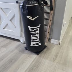 Everlast Punching Bag