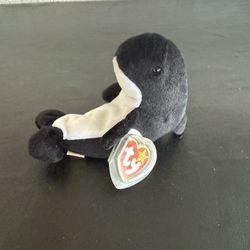 TY Beanie Baby Orca Killer Whale Named Waves 
