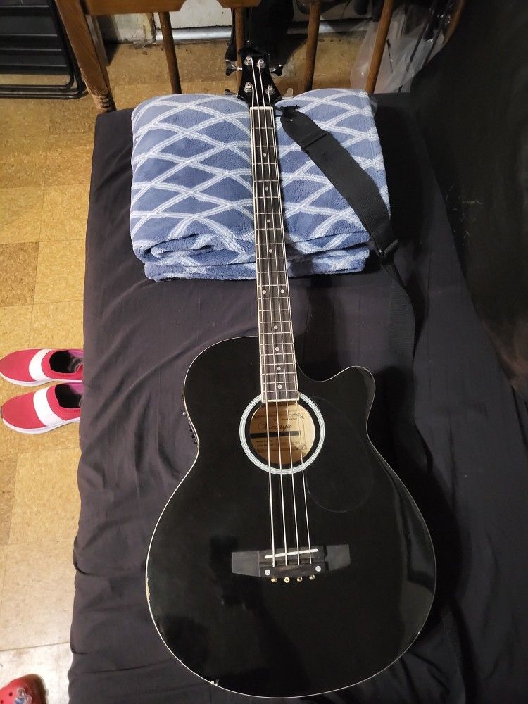 Vizcaya Bass