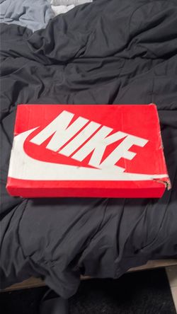 NEED GONE nike dunk low retros