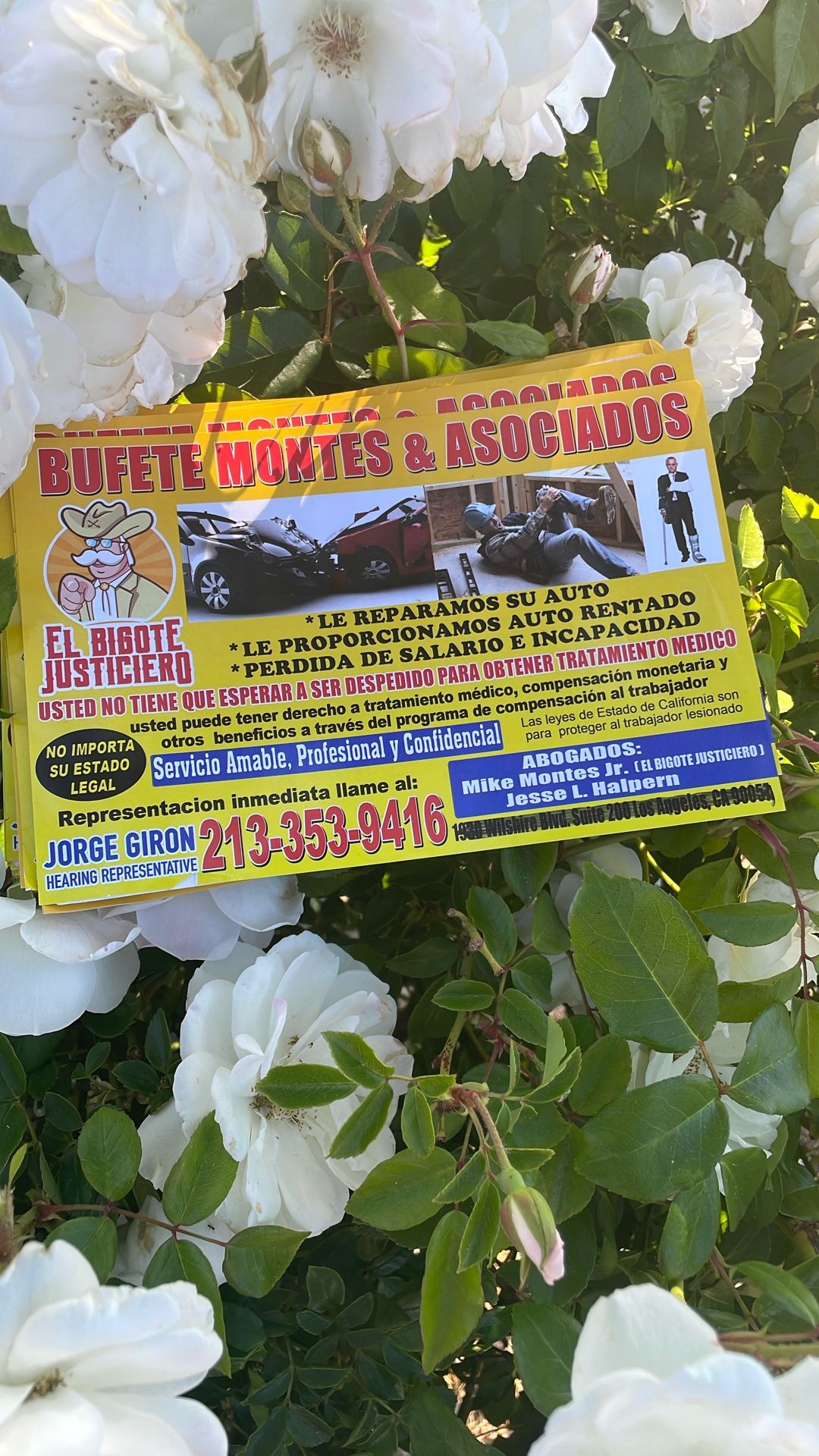 BUFFET MONTES & ASOCIADOS