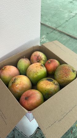 Box of 9 Home Grown Mangos