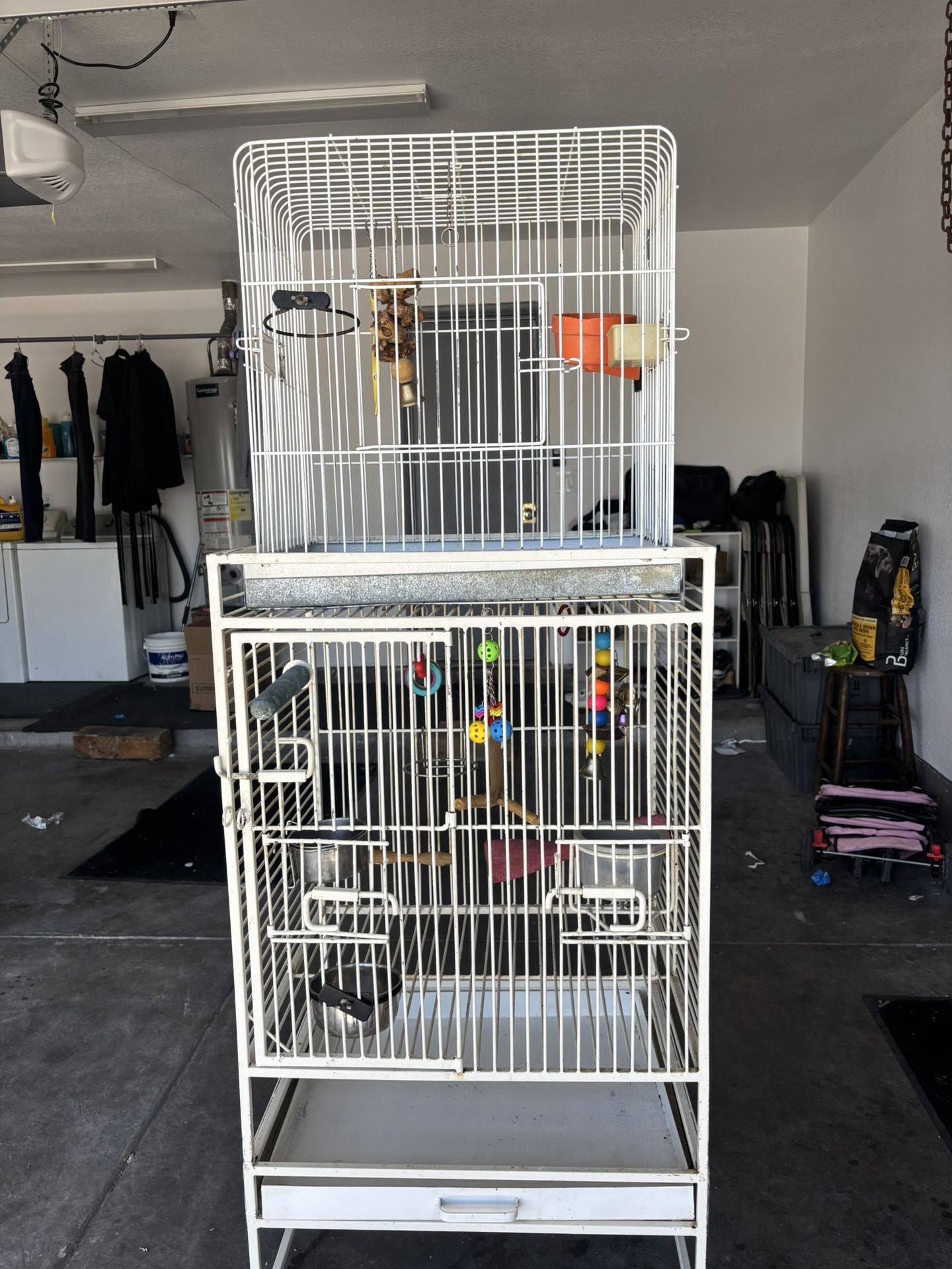 Bird Cage