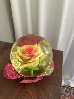Preserved Rose in Globe Decor