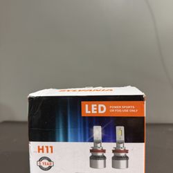 H 11 Headlight bulbs