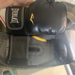 Brand New Classic Everlast Boxing Gloves Training Bag Work Adjustable 12oz