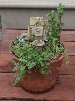 $35 Beautiful fairy garden