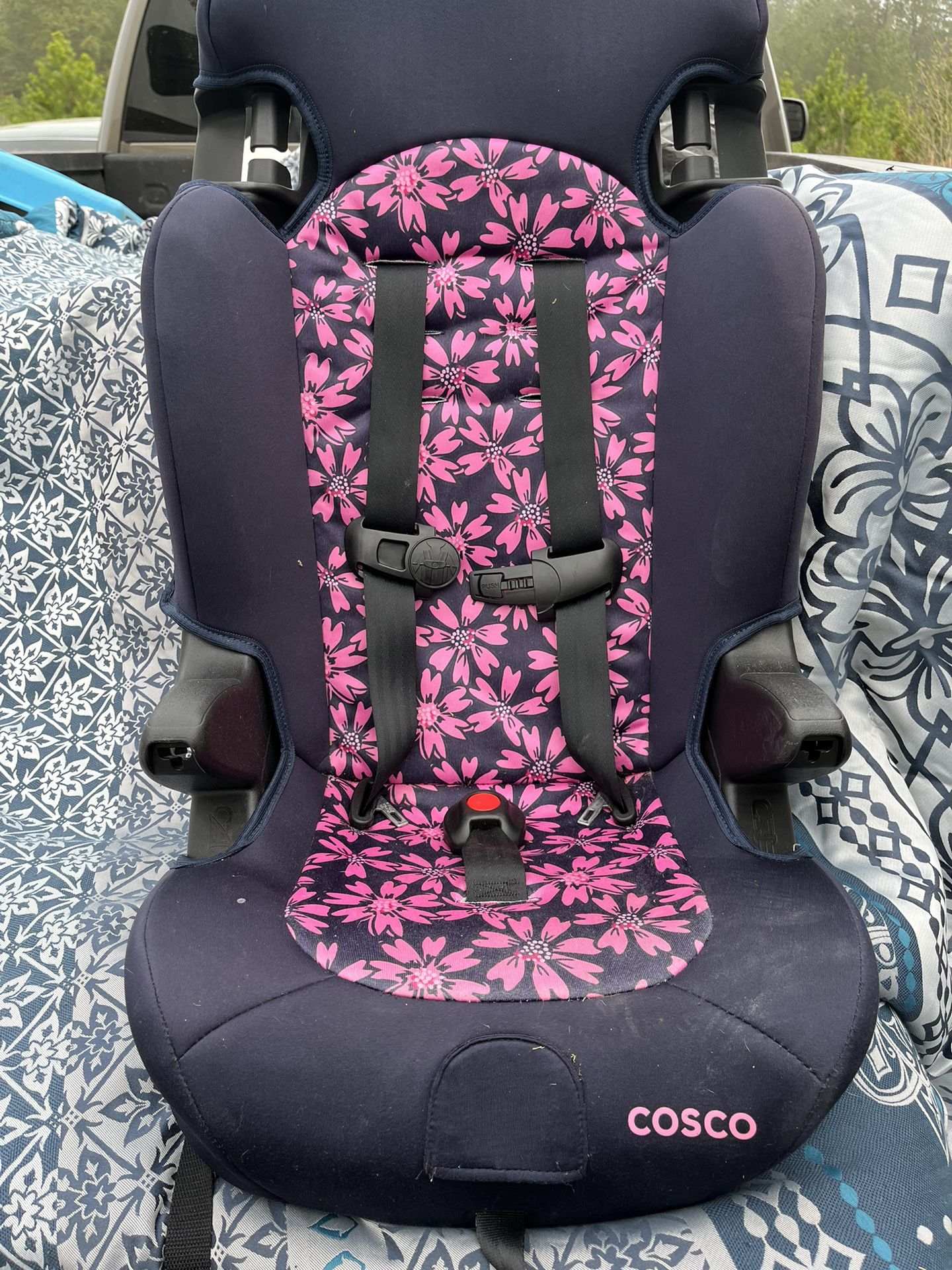 Booster Seat From Cosco
