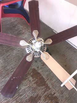 Fan