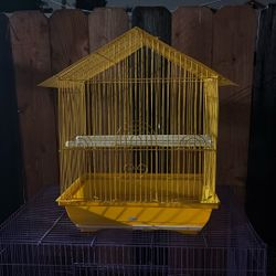 Bird Cage