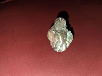 Gemstone fossil