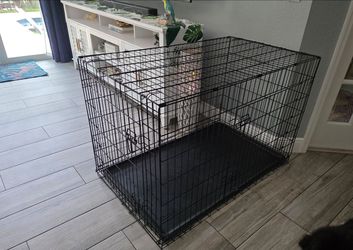 XL Dog Crate