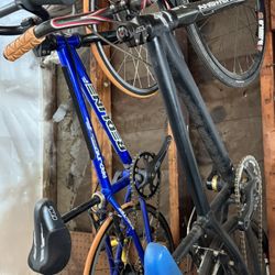 Kids Redline BMX Racing Bikes with Carbon Fiber Forks