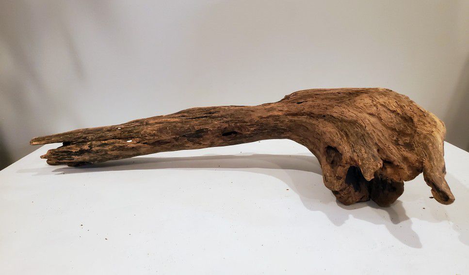 Beautiful Large Piece of Natural Driftwood for Aquariums and Terrariums