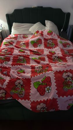 Strawberry shortcake blanket, large queen size