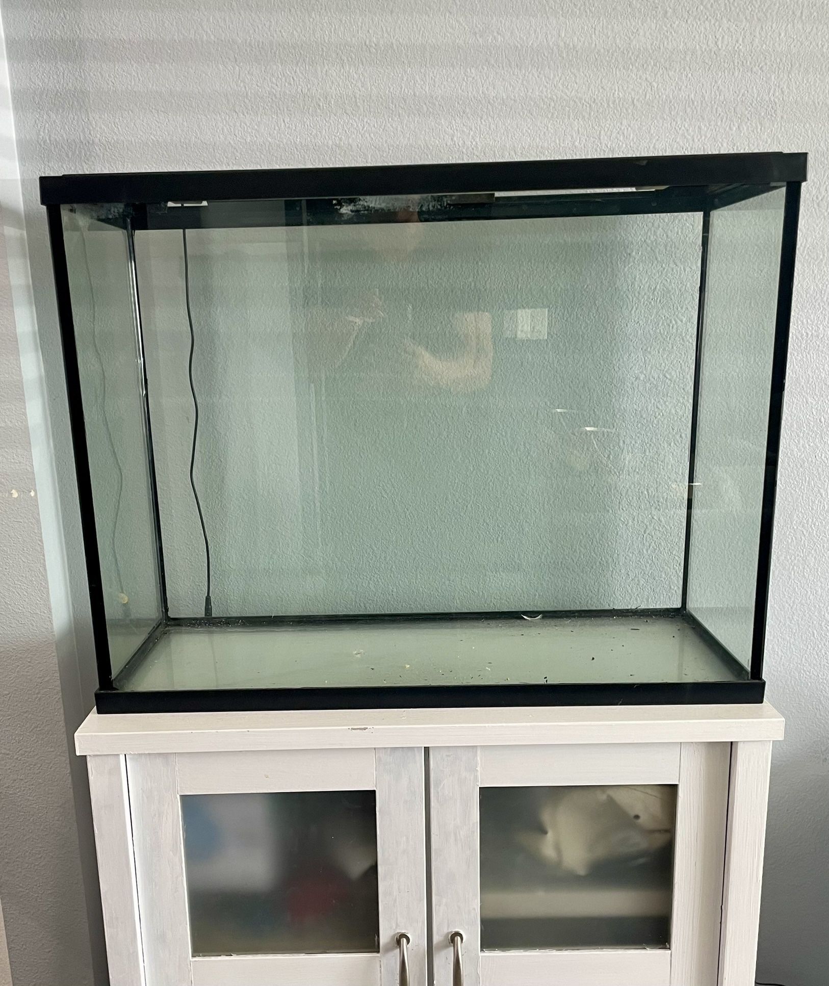 $15 Fish Tank
