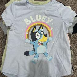 4t Girls Bluey Shirt