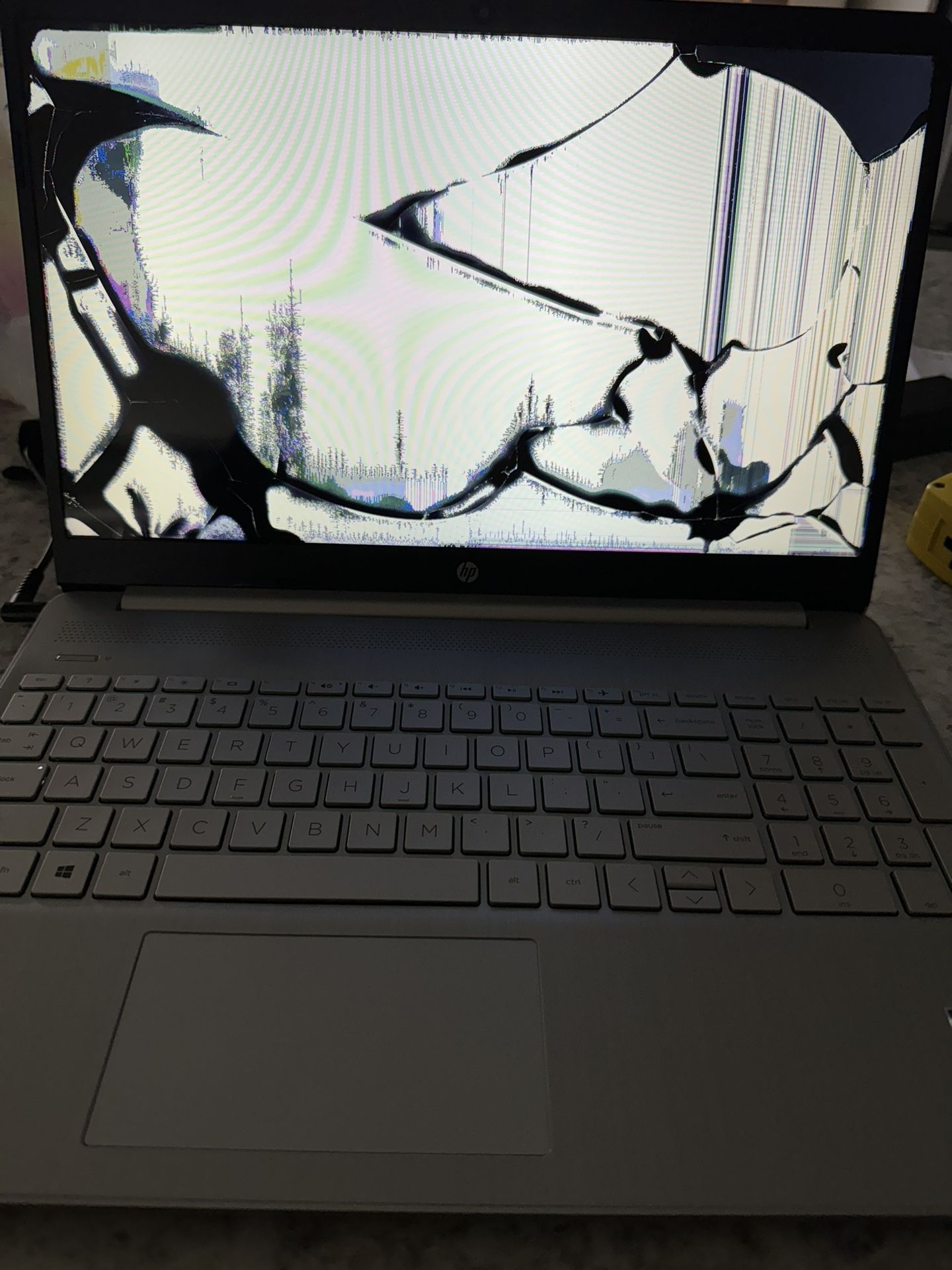 HP Laptop Needs New Screen $75