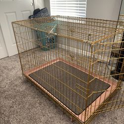 GOLD DOG CAGE!!!! 