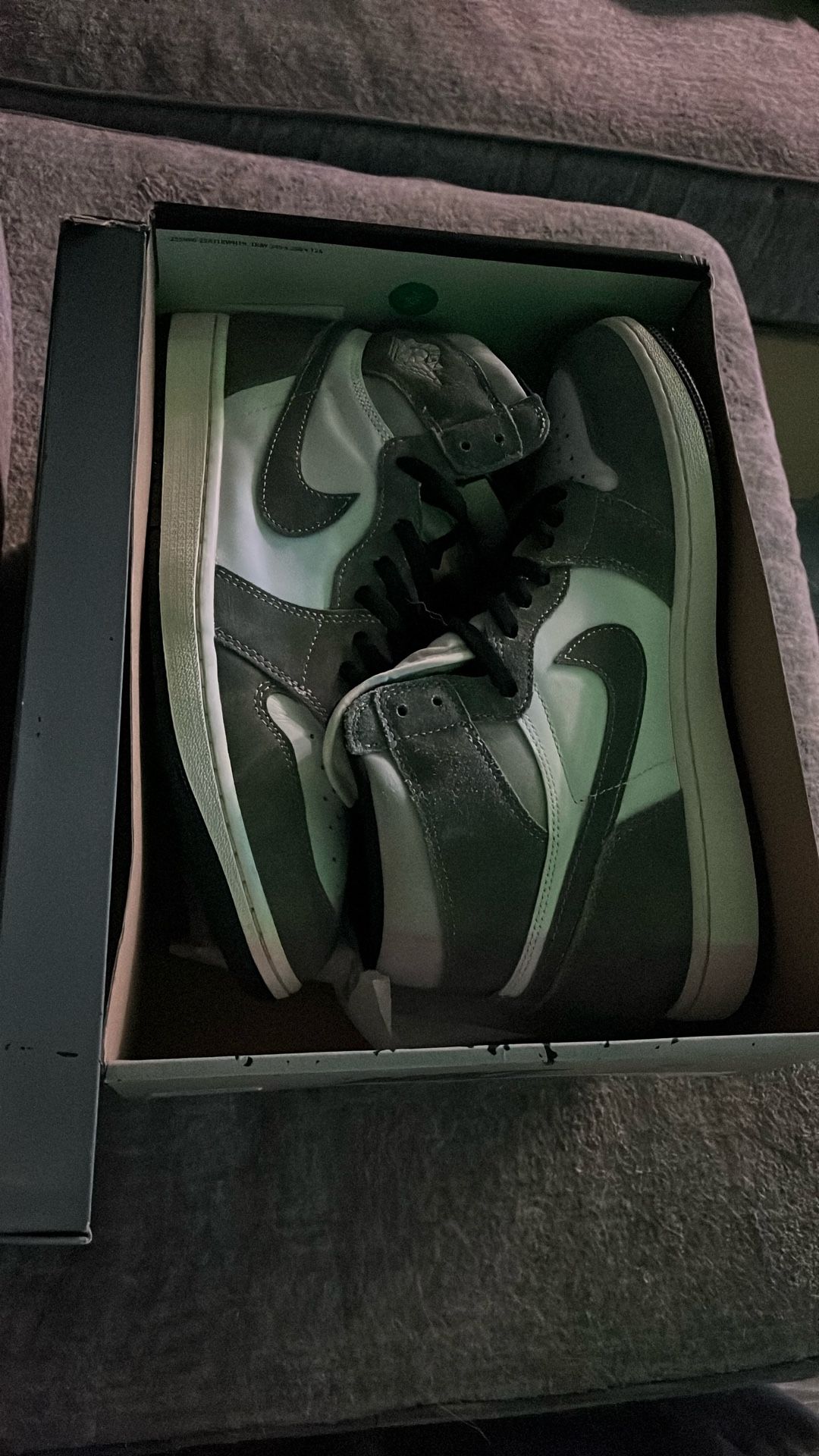 Sz 13 Jordan 1 Washed Black