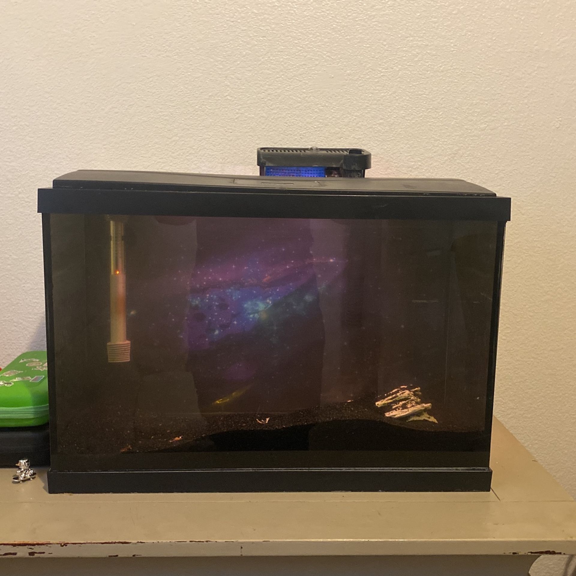 20 gallon fish tank 