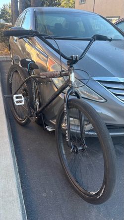 Street co 29er