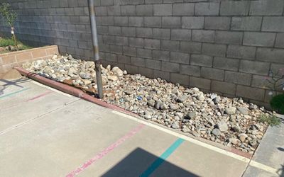 Free rocks