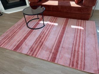 Terracotta Area Rug – 91 x 63 in – Excellent Condition – Irvine