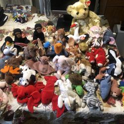 Beanie Baby Collection