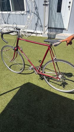 International nishiki racing bike