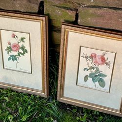 Pair Of Vintage Framed Rose Prints